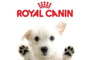 Thức ăn cho chó Royal Canin (Royal Canin)